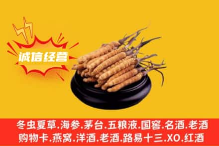 焦作博爱县回收冬虫夏草